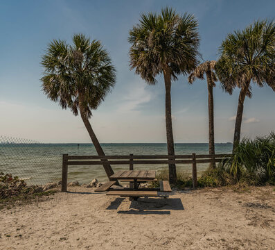 Picnic table by the beach, Picnic Island Park Tampa FL