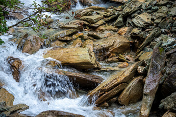 Rocky water stream in the forest