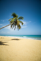 Beautiful view of sea, palms and golden sand of Playa Coson, near Las Terrenas, in the Samana Peninsula of the Dominican Republic. Tropical paradise, exotic beach destination.