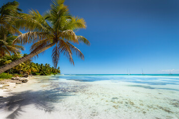Obraz na płótnie Canvas Boats and tropical beach in caribbean sea, Saona island, Dominican Republic