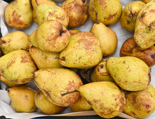 the pears are lying on a white sheet of paper