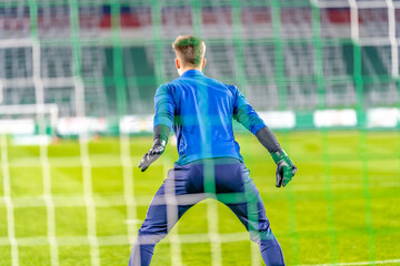 Fototapeta premium goalkeeper catches the ball in the goal in a soccer match