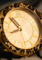 Fototapeta premium Unbranded Macro Photograph of Animal Print Gold Watch