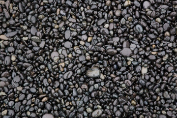 spiaggia di sassi neri in Islanda