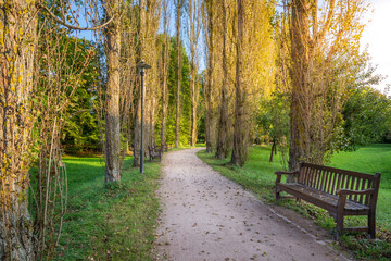 Naklejka premium Alley with trees in treptower park at autumn sunset, Berlin, Germany