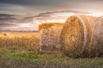 Autumn rolling golden landscape, hay bales in Balkans of Bulgaria