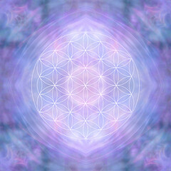 Lilac Flower of Life Symbol Template Background - complete soft focus  Flower Of Life Mandala background ideal for spiritual holistic theme
