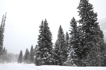 Obraz premium Rural Rocky Mountain - snowy winter weather 
