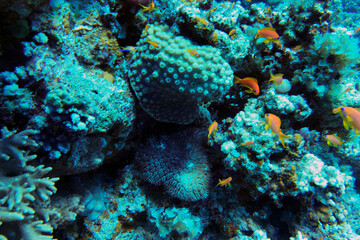 A Underwater cave in fantasy underwater world