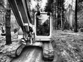 Bagger im Wald