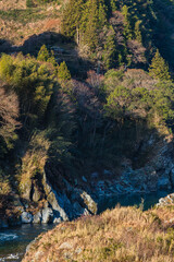 日本　徳島県三好市を流れる吉野川と大歩危