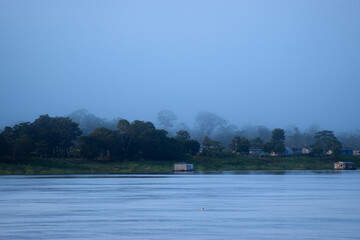 tropical forest, rises in the fog at dawn