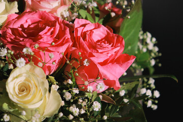 Fototapeta premium beautiful pink and white roses with greens. Dark background with copy space