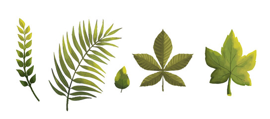Green leaves hand drawn vector illustration set
