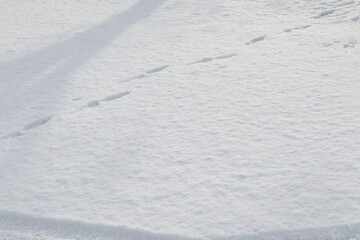 snowy background with footprints
