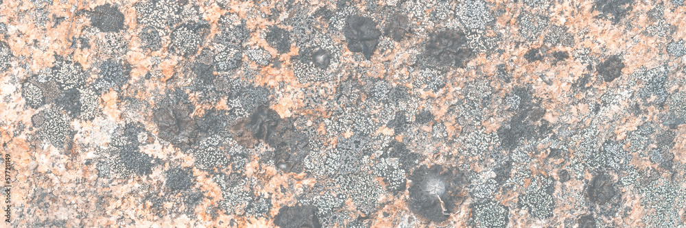 Wall mural natural texture of a stone covered with lichen. lichenes patterns on a rock surface. natural backgro