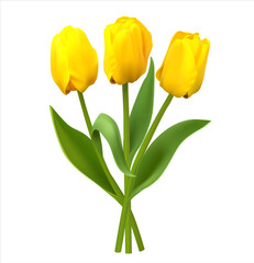 Bouquet of yellow tulips isolated on white. Vector illustration.
