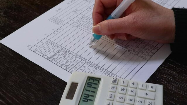税金の申告をする女性　その2