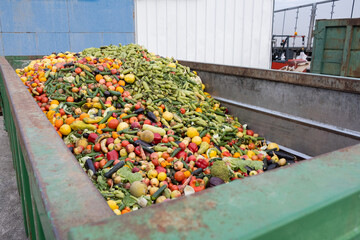 Expired Organic bio waste. Mix Vegetables and fruits in a huge container, in a rubbish bin. Heap of...