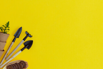 Garden tools and cardboard glasses on a yellow background.