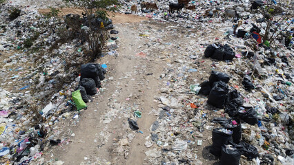 Aerial view of large sustainable electrical power plant with many rows of solar photovoltaic panels for producing clean electric energy at sunrise and sunset.
