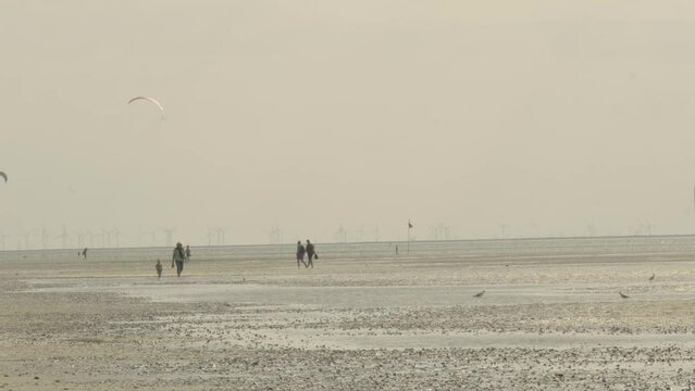 Wadden Sea.People and Seagulls on the Watt Sea. walking on watt dunes.Walks along the sandy bottom of the wattled North Sea of Germany.Fer Island.Recreation and vacation at sea. 