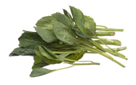 Kale fly in mid air, green fresh vegetable chinese kale falling. Organic fresh vegetable with eaten leaf of chinese kale, heap close up texture. White background isolated freeze motion high speed