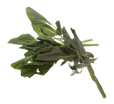 Kale fly in mid air, green fresh vegetable chinese kale falling. Organic fresh vegetable with eaten leaf of chinese kale, heap close up texture. White background isolated freeze motion high speed