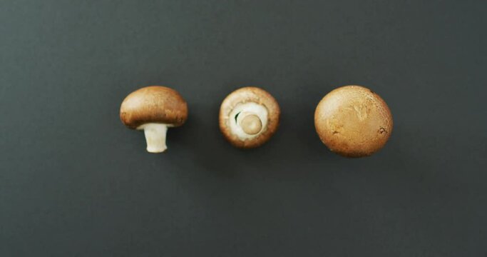 Video of fresh three mushrooms with copy space on grey background