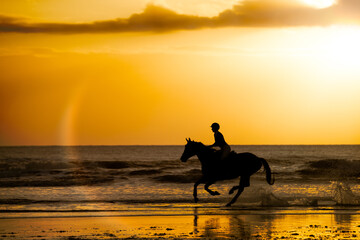 English rider galloping on the beach