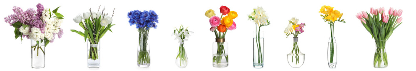 Collage with many beautiful flowers in glass vases on white background - obrazy, fototapety, plakaty
