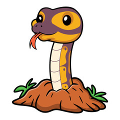 Cute banana ball python snake cartoon out from hole