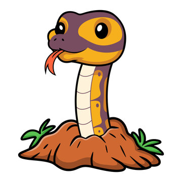 Cute banana ball python snake cartoon out from hole
