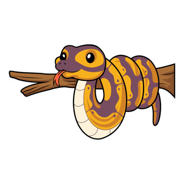 Cute banana ball python snake cartoon on tree branch