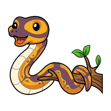 Cute banana ball python snake cartoon on tree branch