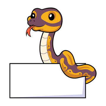 Cute banana ball python snake cartoon with blank sign