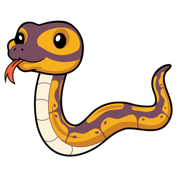 Cute banana ball python snake cartoon