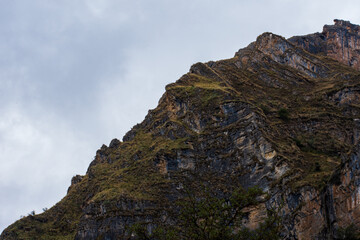 Vegetación de una fría montaña 