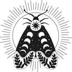 Composition Tarot Mystery Moon Moth vector illustration