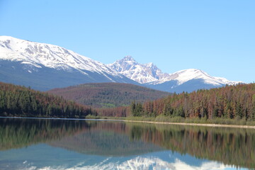 lake reflection, Jasper National Park, Alberta