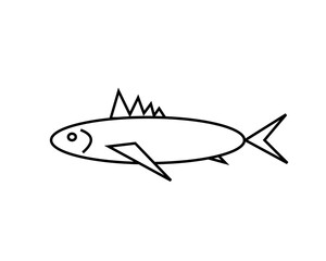 fish on a white background