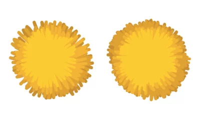 Fotobehang Set of two yellow pompoms isolated over white background, Vector illustration © Penwin