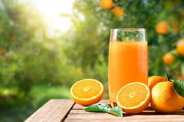 Natural orange juice with orange farming background.