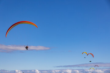 Naklejka na ściany i meble Paragliding on the coast in California