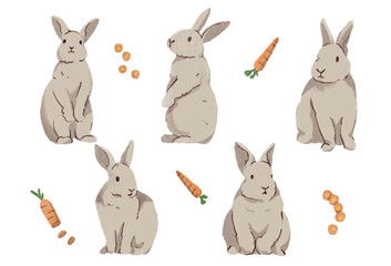 Cute Rabbit Illustration with their food Set
