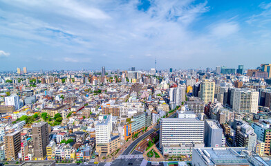 Fototapeta premium 東京都心風景 水道橋から望むスカイツリー方面