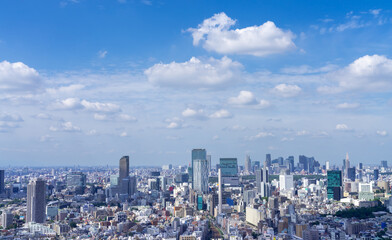 Fototapeta premium 東京風景 渋谷・新宿方面 