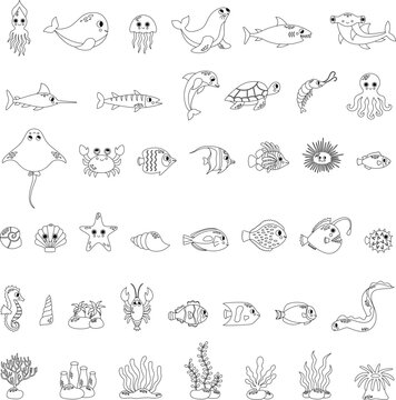 Sea life animal collection black and white. Coloring set.