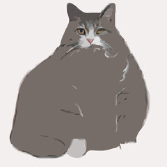 Cats of various breeds lying, sitting, washing itself, playing with ball. Bundle of cute cartoon pet animals with colorful coats isolated on white background.