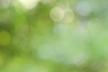 Naklejka na ściany i meble Bokeh green nature, Subtle background in abstract style for graphic design